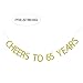 Gold Glitter Cheers to 65 Years Banner - 65th Birthday Party Decorations Celebration Ideas - NO ASSEMBLY REQUIRED