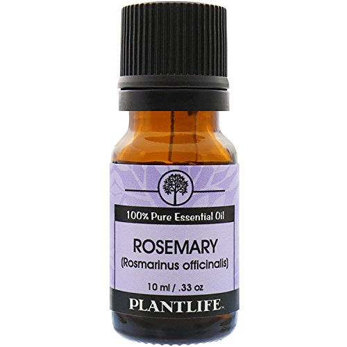 Rosemary 100% Pure Essential Oil - 10 ml