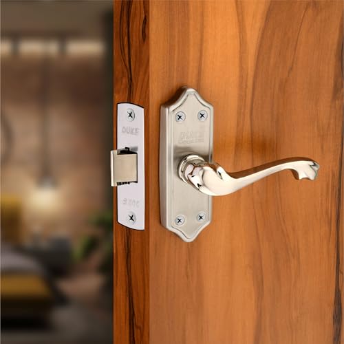 Image of Duke Lock Stainless Steel Baby Mortice Set 2004 SS for Main Door, Kitchen, Bedroom, Office, Brass Latch Body with Premium Design Stainless Steel Color 100 MM (5 INCH)