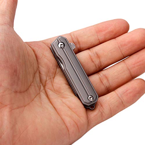 Samior Hy004 Mini Little Folding Pocket Flipper Knife, 1.45 Inch Vg10 Damascus Drop Point Blade, Gray 6Al4V Titanium Handles Frame Lock, Micro Small Keychain Necklace Edc Folder Knives, 0.7 Oz #TOP2