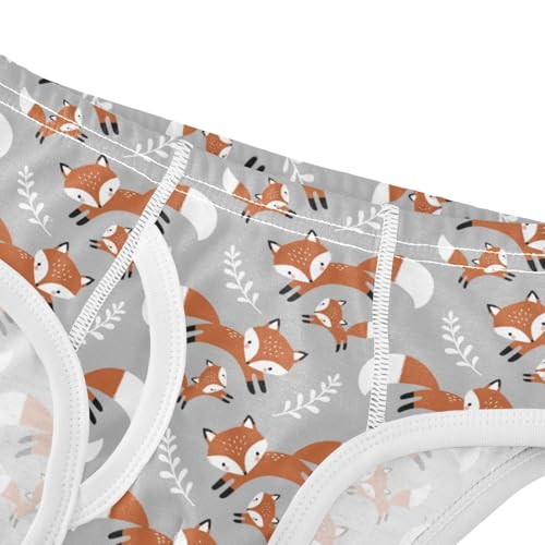 Boys' Exclusive Briefs Toddler Underwear 95% Combed Cotton Boxerbriefs 2T Fox Pattern 164