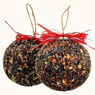 Mr. Bird 2-Pack Seed & Nut Ornaments Bagged