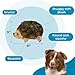 Outward Hound, Hedgehogz Plush Dog Toy, Medium