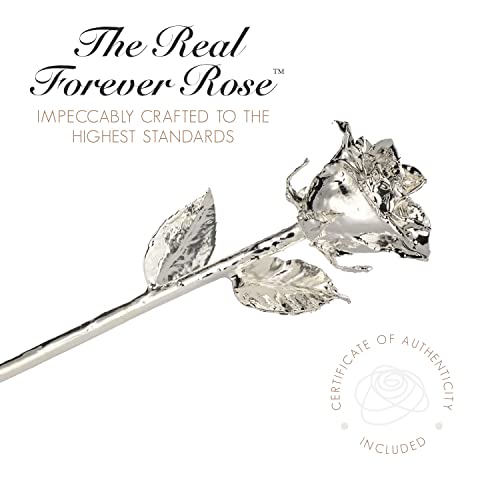 Image of Forever Rose Real Rose Dipped in Silver, Acrylic Heart Vase