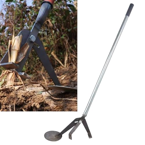 Y c؈H ؏H 0`18cm ؂芔Hi؁A؁AgERVALbTo̍pj _Ɨpؐx݂Nv