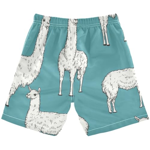 Boys Beach Board Shorts Llama Camel Animal Swim Trunk Teen Swimwear2