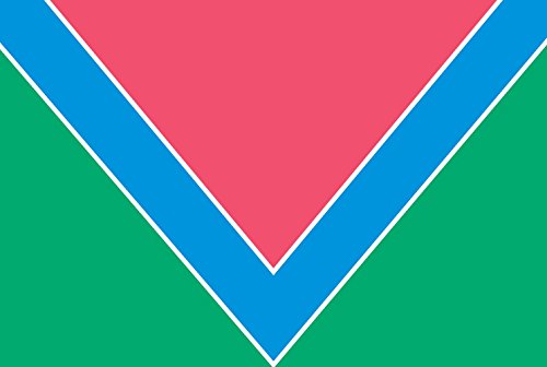 Drapeau de Kompaniivka raion grand format pour mât extérieur - 2