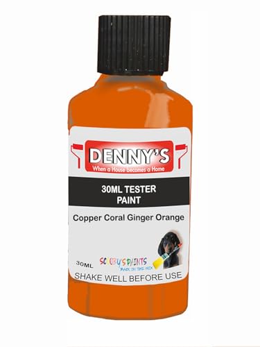 Premium Interior Wall & Furniture Chalk Paint – Copper Coral Ginger Orange – Rich Matt Finish, Durable & Washable, Low Odour, Ideal for Living Rooms, Bedrooms & Hallways (30ML Tester Bottle)