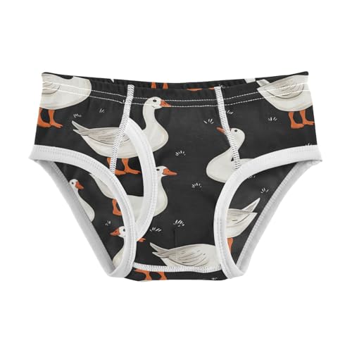 Wusikd Farm Animal Boys' Underwear Cotton Goose Duck Boys Briefs Soft Toddler Underwear 2T