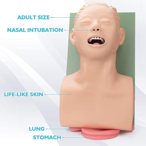 Modèle d'enseignement d'intubation avec repères anatomiques réalistes