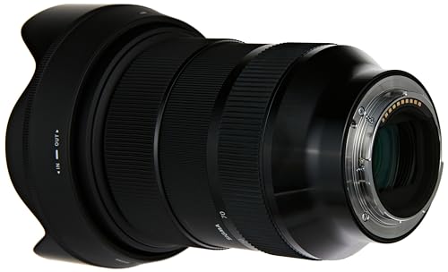 Sigma 24-70mm f/2.8 lens