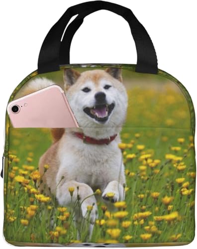 Ԕ̒ɂČ ۗ⃉`obO ٓ 킢 e ܂ y RpNg fMA~V[g |Pbgt g[gobN