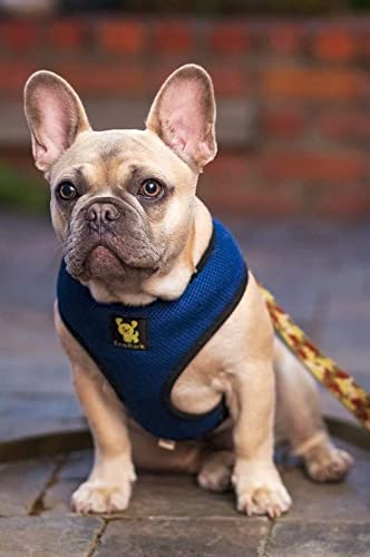 Image of Classic Dog Harness Innovative Mesh No Pull No Choke Design Soft Double Padded Breathable Vest for Eco-Friendly Easy Control Walking Quick Release for Puppies Toy Breeds & Medium Dogs (Cobalt, XL)