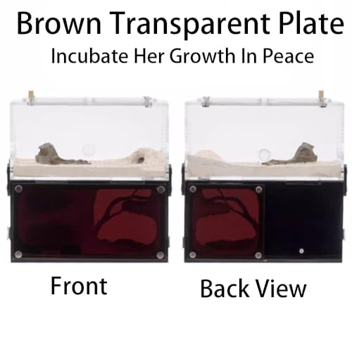 Rimsunta Ant Farm Ant House for ant Farm for Adults Study of Ant Behavior Ant Nest ant Terrarium Educational Formicarium for Live Ants and Queen,Cave Style Landscapes