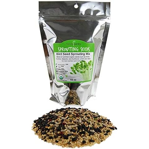 Handy Pantry Organic Birdseed - 1 Lb - Sprouting Bird Seed Mix for Small, Medium & Large Birds- Feed for Songbirds, Parakeets, Parrots, etc Cover