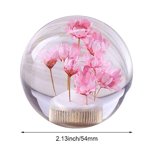 Salud, Kitchen Imagen adicional