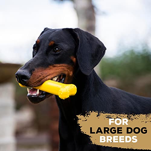 TastyBone Festive Nylon Dog Chew Toy for Large Dogs (Partridge), Christmas Dog Present - Image 4
