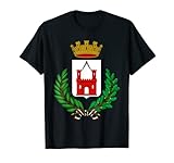 sesto san giovanni stemma jersey bandiera calcio maglietta