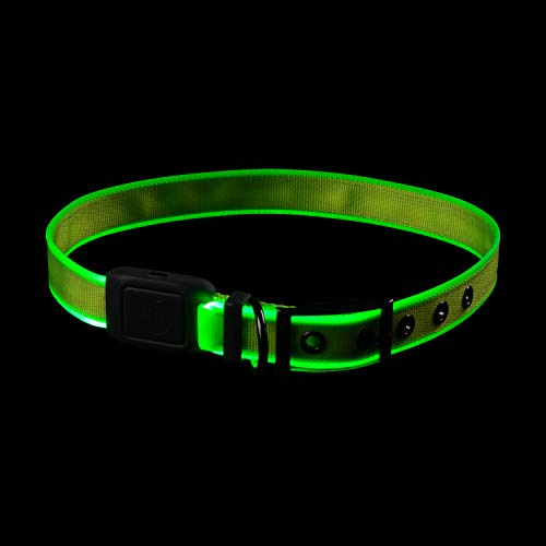 Nite Ize Coleira recarregável de LED NiteDog, coleira para cães recarregável com luz USB com fivela