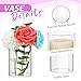 15 Pack Glass Cylinder Vases 12 Inch Tall Clear Flower Vase Bulk Glass Vases Hurricane Floating Candle Holder for Table Centerpiece Party Wedding Home Decor
