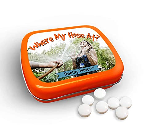 Funny Statement Mints - Breath Fresheners for Adults - Mens Gag Gifts, Stocking Stuffers, Candy Basket Fillers - Sugar-Free - Pocket-Size Metal Tins (Hose At)
