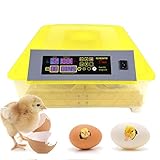 Diseñado para hasta 48 huevos, perfecto para cultivar huevos de aves de corral como huevos de gallina, huevos de codorniz, pato o incluso huevos de reptil.