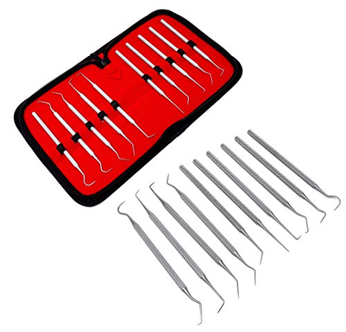 Set of 10 Stainless Steel Precision Micro Scaler Set Combo, 5.5 inch to 6 inch Overall Length