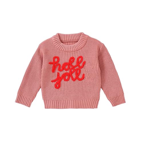 Boys Girls Fall Winter Christmas Embroidered Sweater Toddler Hoodie Sweatshirt