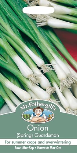 Mr Fothergill's Onion (Spring) Guardsman
