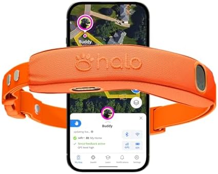 Halo Collar 5 Wireless Dog Fence & GPS Dog Collar, Keep Your Dog Safely Contained Outdoors with App-Controlled Boundaries and Real-Time Tracking, One Size, Blaze