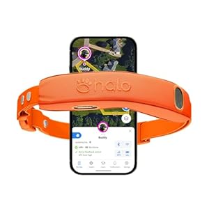Halo Collar 5 Wireless Dog Fence & GPS Dog Collar, Keep Your Dog Safely Contained Outdoors with App-Controlled Boundaries and Real-Time Tracking, One Size, Blaze