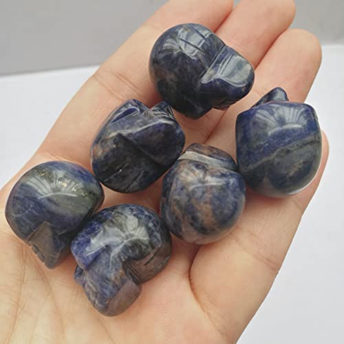 Manekieko 2 Pcs Natural Sodalite Mini Crystal Human Skull Figurines,25mm Handcarved Crystals and Healing Stone Room Decor Gemstone - Image 2