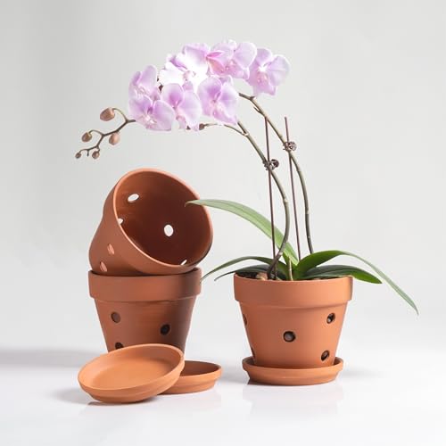 HERDUK Clay Orchid Pots with Holes,Terracotta Orchid Pots with Drainage Holes & Saucer for Repotting 6 Inch, Orchid Planters for Indoor Plants