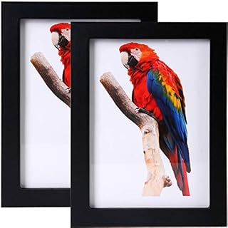 JAYONG 5x7 Picture Frames Made of Solid Wood High Definition Glass for Table