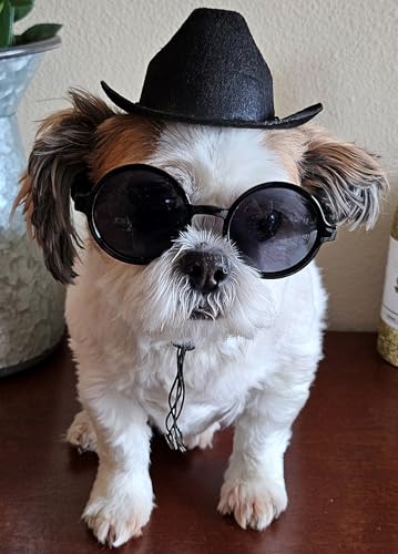 Set Disfraz Perro Retro Sombrero y Gafas T-S miniatura 4