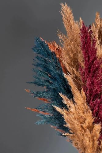 Conjunto de Hierba Pampas Seca Multicolor 15 Piezas 100cm miniatura 2
