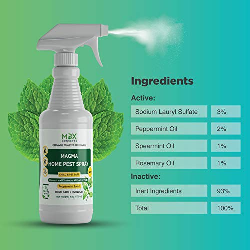 MDXconcepts Organic Home Pest Control Spray - Peppermint Oil - MADE IN USA - Kills & Repels, Ants, Roaches, Spiders, and Other Pests Guaranteed - All Natural - Pet Safe - Indoor/Outdoor Spray - 16oz - Thumbnail 7