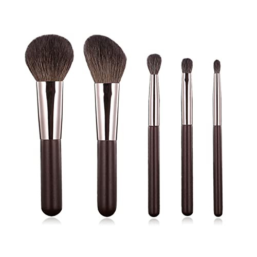 Kanviensl Makeup Brushes Set, 5Pc Portable Makeup Blending Brush Kit With Soft Goat Hairs & Real Wood Handle, Ideal Makeup Tools For Powder Blush Concealers Contouring Highlighting #TOP6