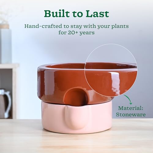 Image of UGAOO Flower Sunflower Ceramic Planter for Plants | Flower Pot for Living Room, Indoor Decor (Terracotta-Pink, Medium)