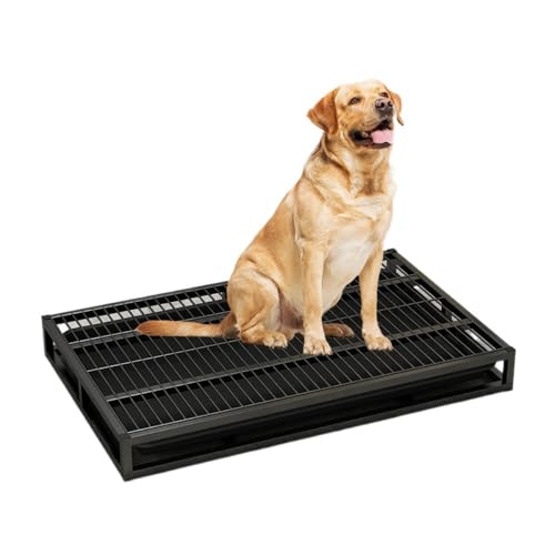 Wyazziv pgCgCgCotCh^gCgCg[jOgCg[jO}bgybgpgC􂢂łĐd݌vőJbƂ܂ (ubN,78*50*8cm)