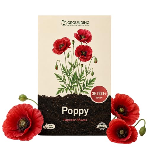 Grounding - Semi di Papavero rosso “Flanders” (Papaver rhoeas), 35000+ semi - Tappeto di fiori rossi per prato fiorito e aiuole naturali, altezza 50–60 cm - qualità Europea