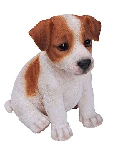 Adatto per interni ed esterni Vivid Arts Statuetta Jack Russell Terrier, marrone/bianco