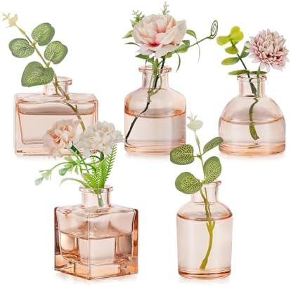 Hewory Kleine Vasen für Tischdeko Esstisch: 5er Champagne Mini Va...