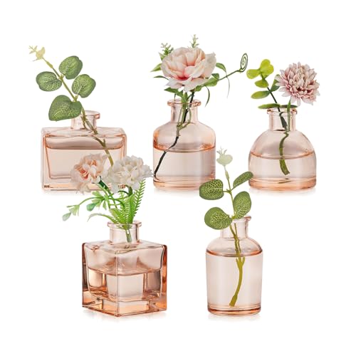 Image of Hewory Glass Bud Vases for Flowers: 3cm (W) X 6cm (H) Mini Glass Vase Champagne Small Vases for Table Decoration - 5pcs Assorted Mini Vase for Wedding Centrepiece Living Room Decor Home Party Birthday
