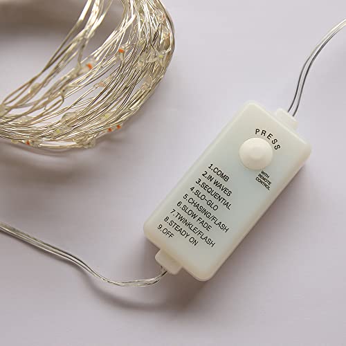 Lidore Led Fairy String Light Decorative Light For Patriotic Theme Birthday Wedding Baby Shower Party Indoor And Outdoor Different Twinkle Modes 100 Counts 110V Plug In #TOP5