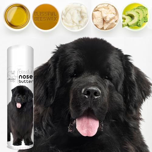 Image of The Blissful Dog Newfoundland Unscented Nose Butter - Dog Nose Butter, 0.50 Ounce