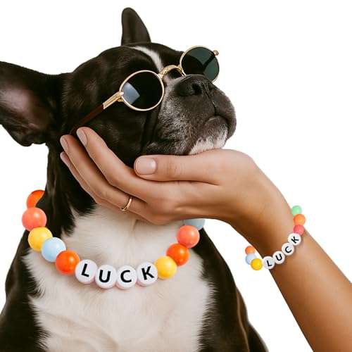Hundehalsband Personalisiert mit Namen/Buchstabe - Niedliche Bunte Perlen Halskette Halsband Hund Katze mit GRATIS Passendem Armband - Personalisierte Hunde Geschenke für Frauen Männer Hundeliebhaber