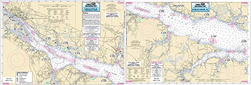 Captain Segull's Inshore Pamlico River, NC Fishing...