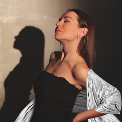 EUPSIIU Stola Festlich Fur Abendkleid, Damen Schal, Schals Tücher für Damen, Einfarbiger Schal Sommer Dünn Schaltuch für Brautkleider Abendkleider Alltagskleidung, Einheitsgröße (Silber) (Silber)