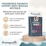 Tranquille Crunch' Expert Anti Cat Hair Ball (zestaw 40 x 60 g) | Słodowe smakołyki i włókna roślinne | Krokiet dla kota | Profilaktyczna przekąska Wellness | z kurczakiem i bez cukru